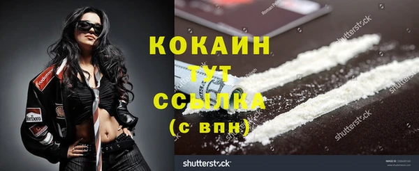 spice Арсеньев