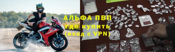 spice Арсеньев