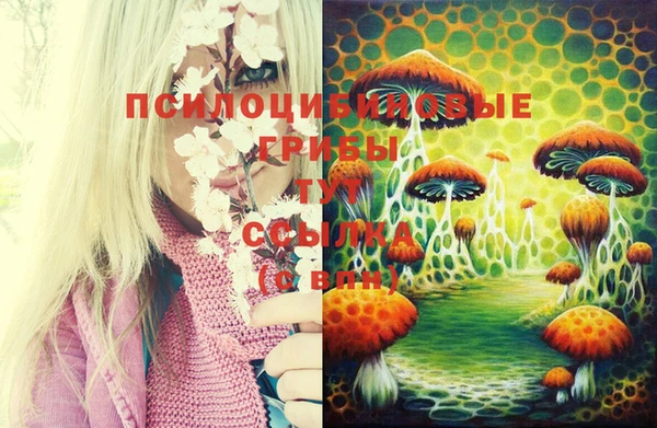 дмт Армянск