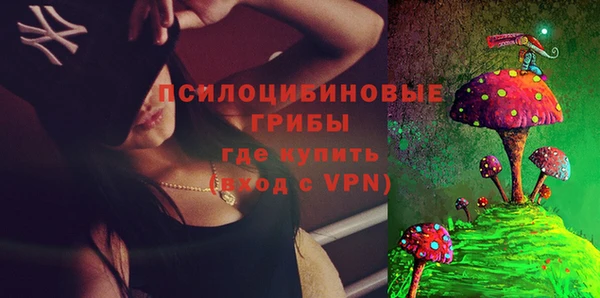 дмт Армянск