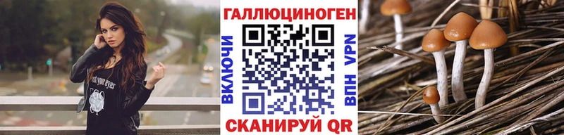 МЕГА ссылки Шелехов Галлюциногенные грибы Magic Shrooms цены наркотик